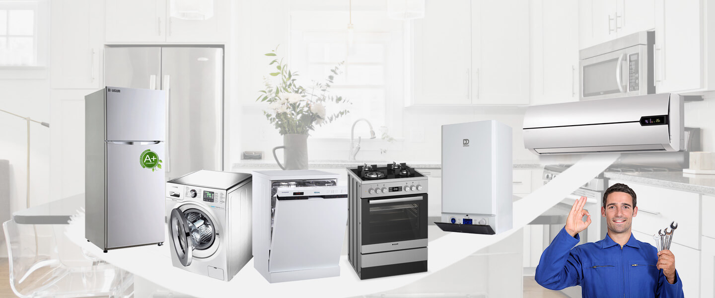 Lalapaşa Gorenje Servisi